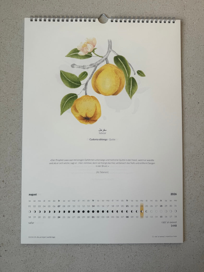 (pre order) Sonnen- und Hijrikalender - Calender year 2026