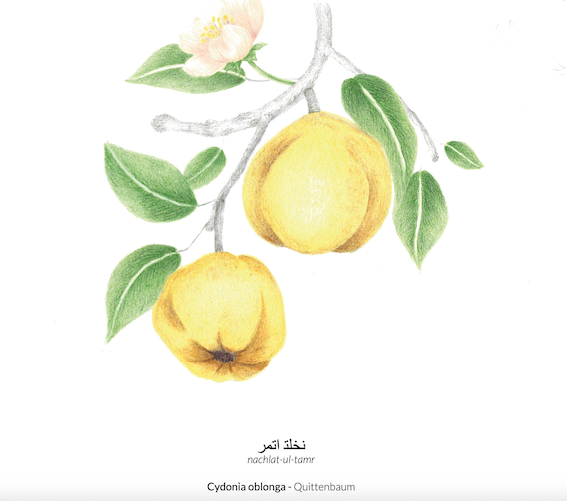 (pre order) Sonnen- und Hijrikalender - Calender year 2026