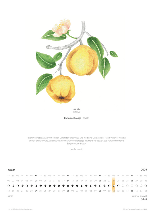 (pre order) Sonnen- und Hijrikalender - Calender year 2026